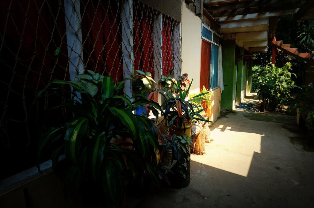 Villa Hermosa De Tambopata Casa Hospedaje & Hostel Puerto Maldonado Exterior photo