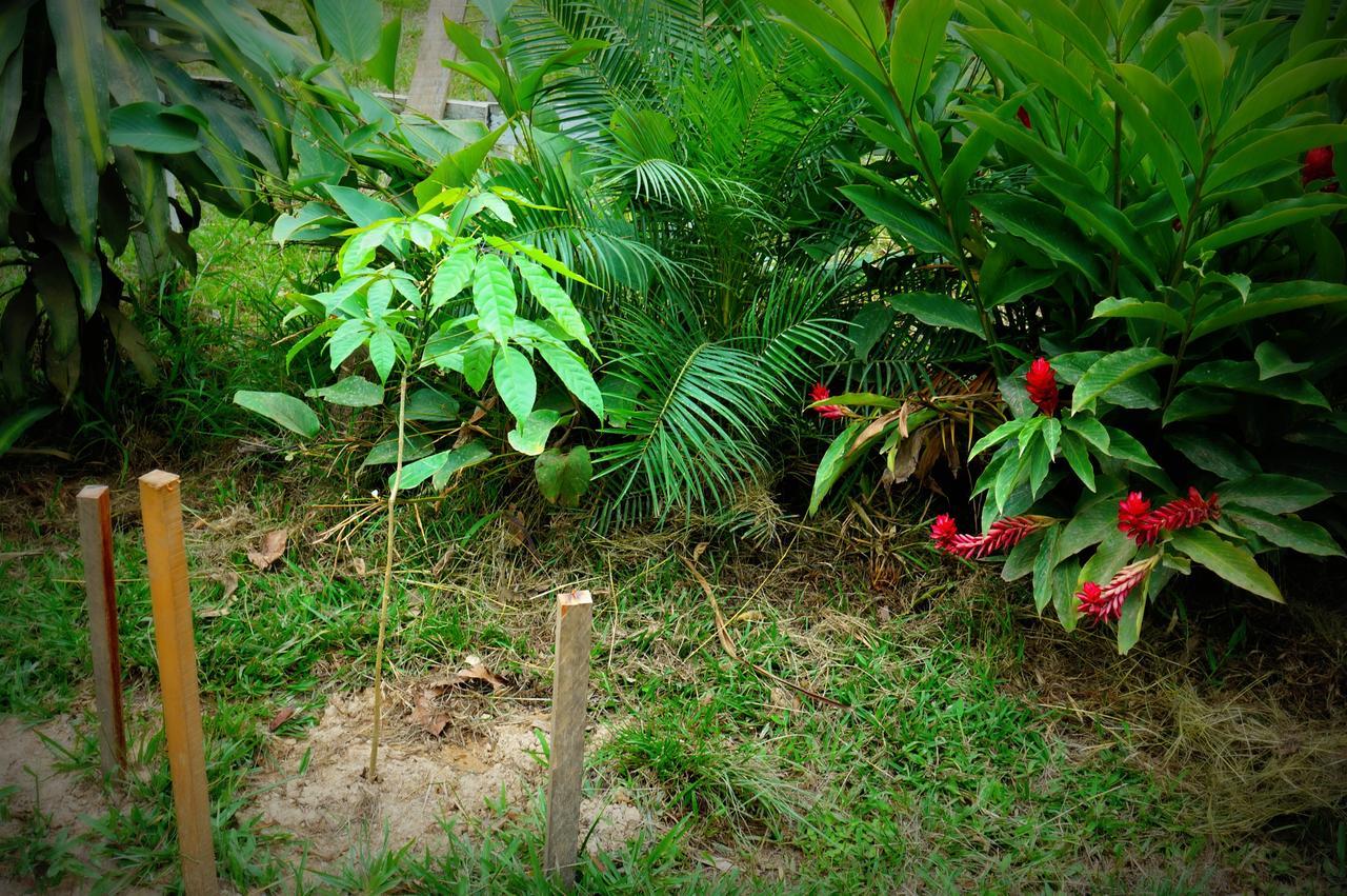 Villa Hermosa De Tambopata Casa Hospedaje & Hostel Puerto Maldonado Exterior photo